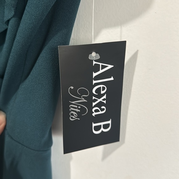 NWT Alexa B cocktail dress - Picture 6 of 6